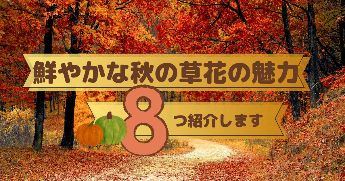 鮮やかな秋の草花の魅力！８つのおすすめをご紹介します